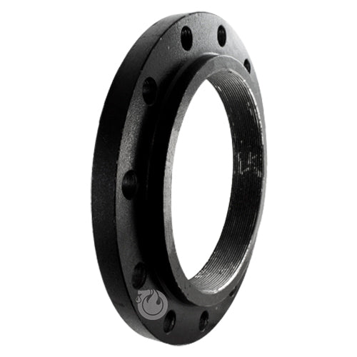 Carbon Steel 10" Flange with National Pipe Tapered (NPT)