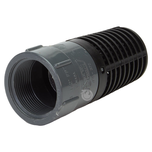 Plastic 1 1/2" NPT Barrel Strainer with Foot Valve