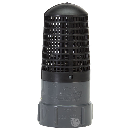 Plastic 1 1/2" NPT Barrel Strainer with Foot Valve