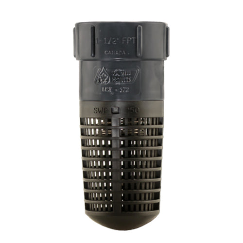 Plastic 2" NPT Barrel Strainer with Foot Valve