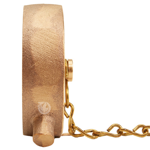 Brass Pin Lug 3" NPSH Cap