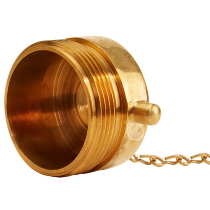 Brass Polished 2 1/2" NH Plug (Pin Lug)