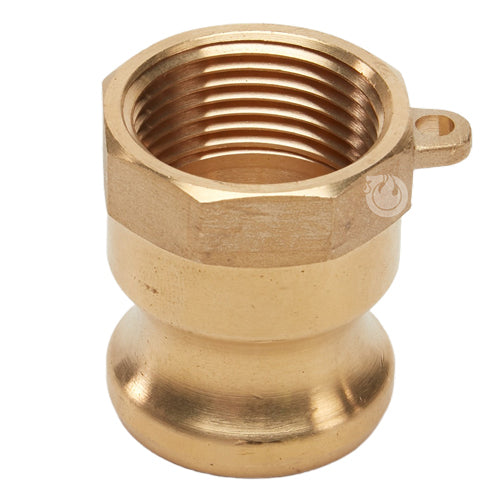 Brass 1" Male Camlock x 1" Female NPT (USA)