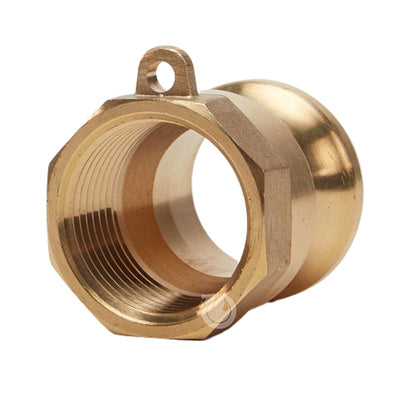 Brass 1" Male Camlock x 1" Female NPT (USA)