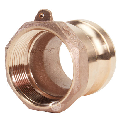 Brass 2" Male Camlock x 2" Female NPT (USA)