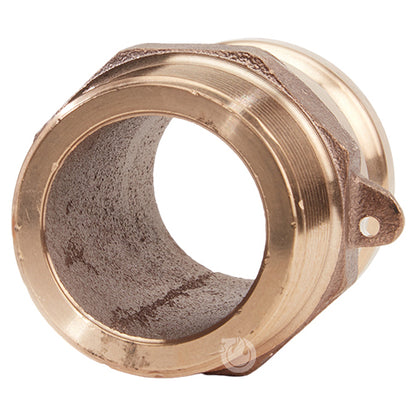 Brass 2" Male Camlock x 2" Male NPT (USA)