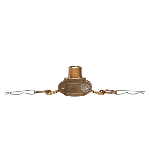 Brass 1/2" Female Camlock x 1/2" Male NPT