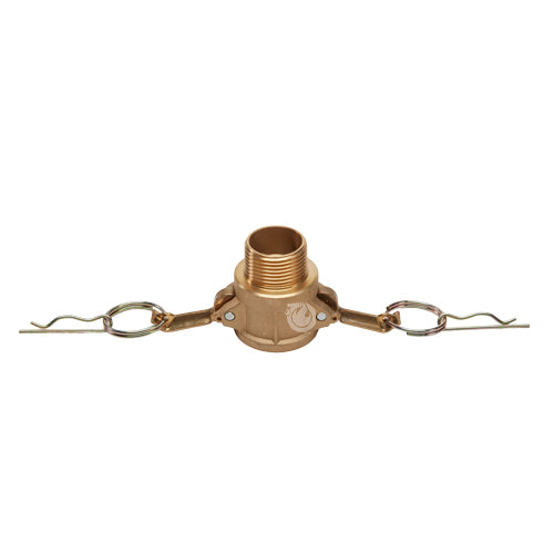 Brass 1" Female Camlock x 1" Male NPT (USA)