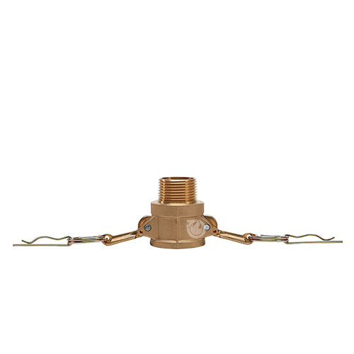 Brass 1 1/4" Female Camlock x 1 1/4" Male NPT