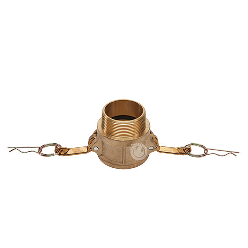Brass 2" Female Camlock x 2" Male NPT