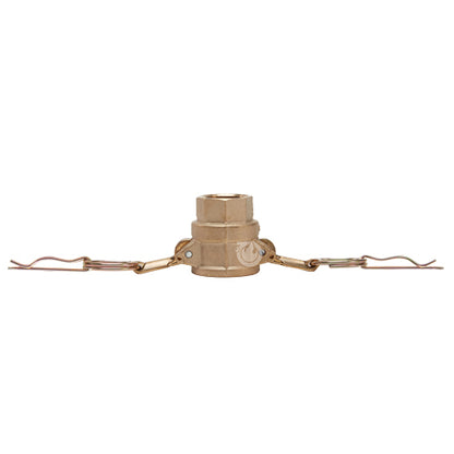 Brass 1/2" Female Camlock 1/2" "Female NPT