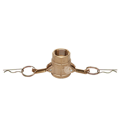 Brass 1 1/4" Female Camlock x 1 1/4" Female NPT (USA)
