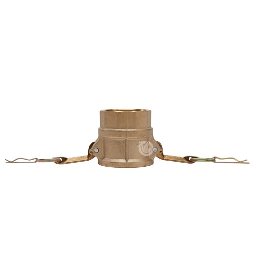 Brass 2" Female Camlock x 2" Female NPT