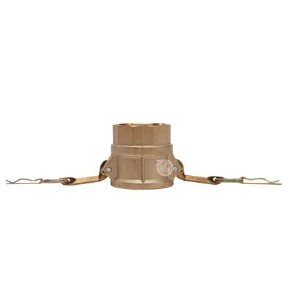 Brass 2" Female Camlock x 2" Female NPT