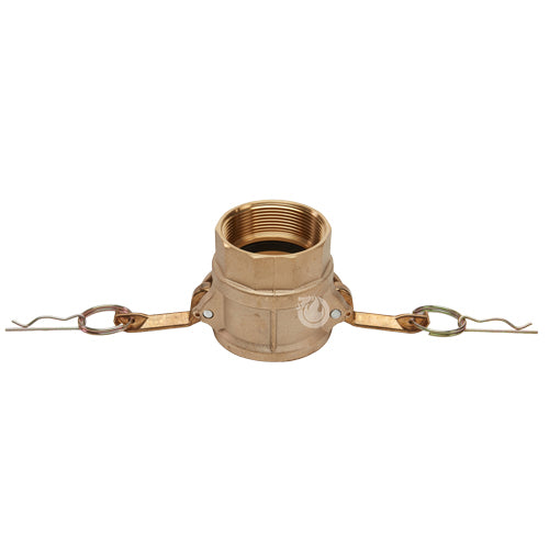 Brass 2" Female Camlock x 2" Female NPT (USA)