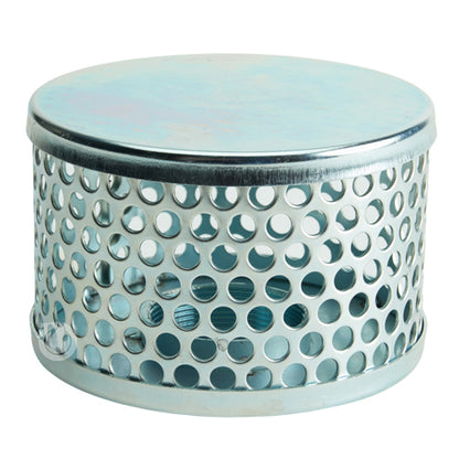 Steel 2" NPSH Barrel Strainer