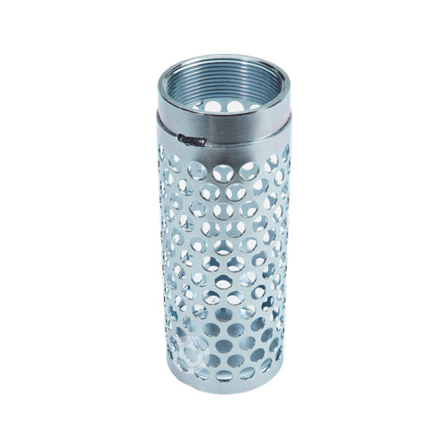 Steel 2" NPSH Thin Barrel Strainer