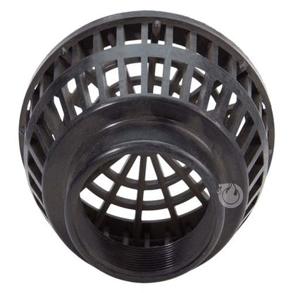 Plastic 2" NPT Basket Strainer