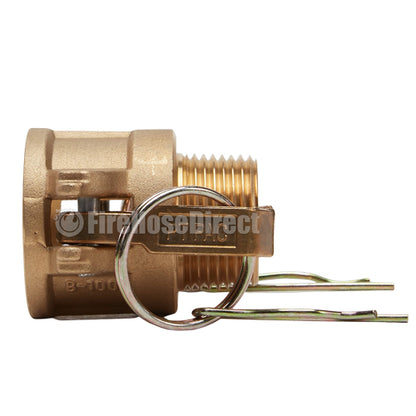 Brass 1" Female Camlock x 1" Male NPT