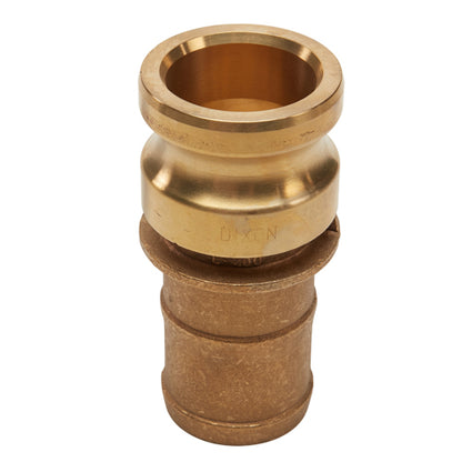 Brass 2" Male Camlock to Hose Shank