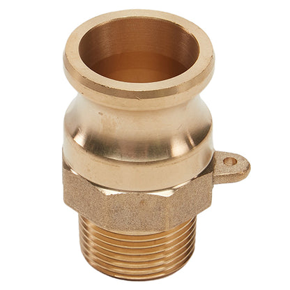 Brass 1/2" Male Camlock x 1/2" Male NPT (USA)