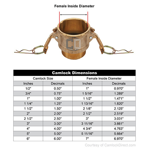 Brass 1/2" Female Camlock x 1/2" Male NPT (USA)