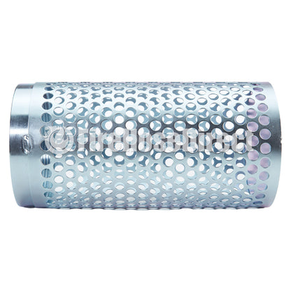 Steel 4" NPSH Thin Barrel Strainer