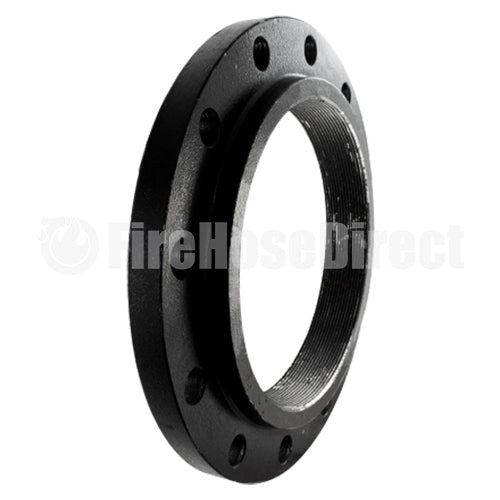 Carbon Steel 10" Flange with National Pipe Tapered (NPT)