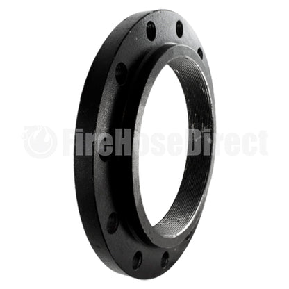 Carbon Steel 12" Flange with National Pipe Tapered (NPT)