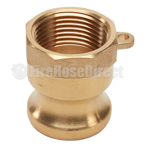 Brass 1 1/4" Male Camlock x 1 1/4" Female NPT