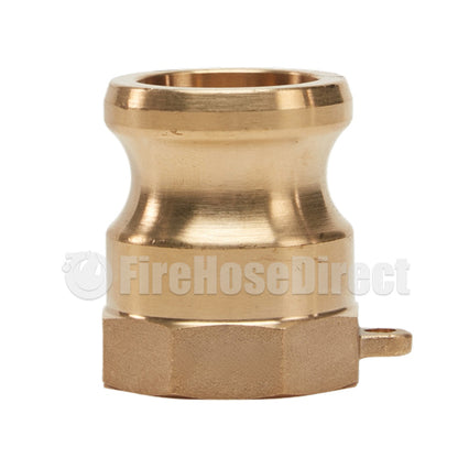 Brass 1 1/4" Male Camlock x 1 1/4" Female NPT