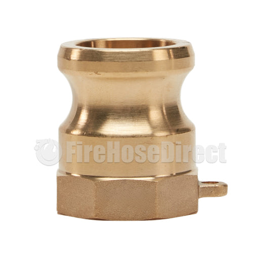 Brass 1 1/4" Male Camlock x 1 1/4" Female NPT (USA)