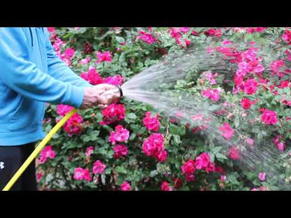 Clear Plastic Garden Hose Nozzle (GHT)